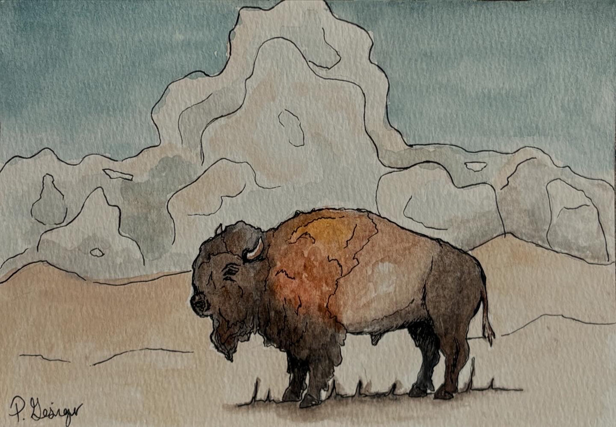 trail of the buffalo