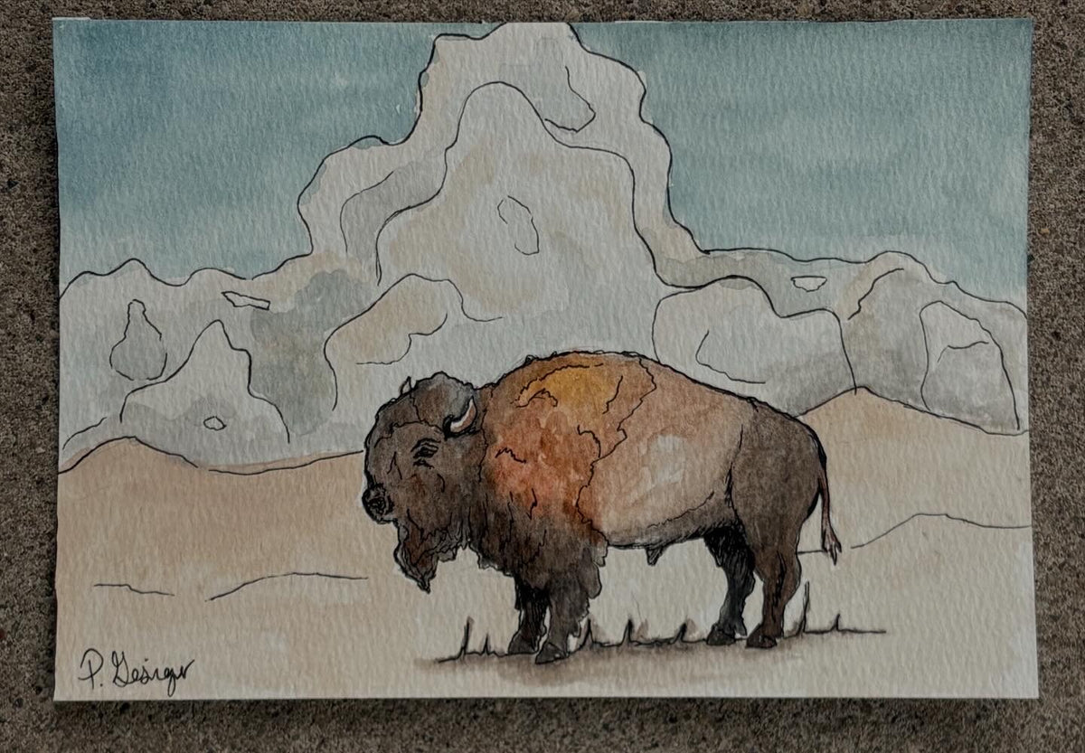 trail of the buffalo