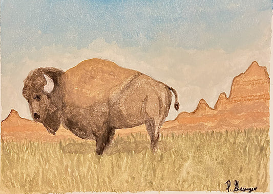 badlands buffalo